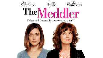 The Meddler (2015)
