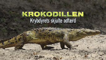 Krokodillen: Krybdyrets skjulte adfærd (2011)